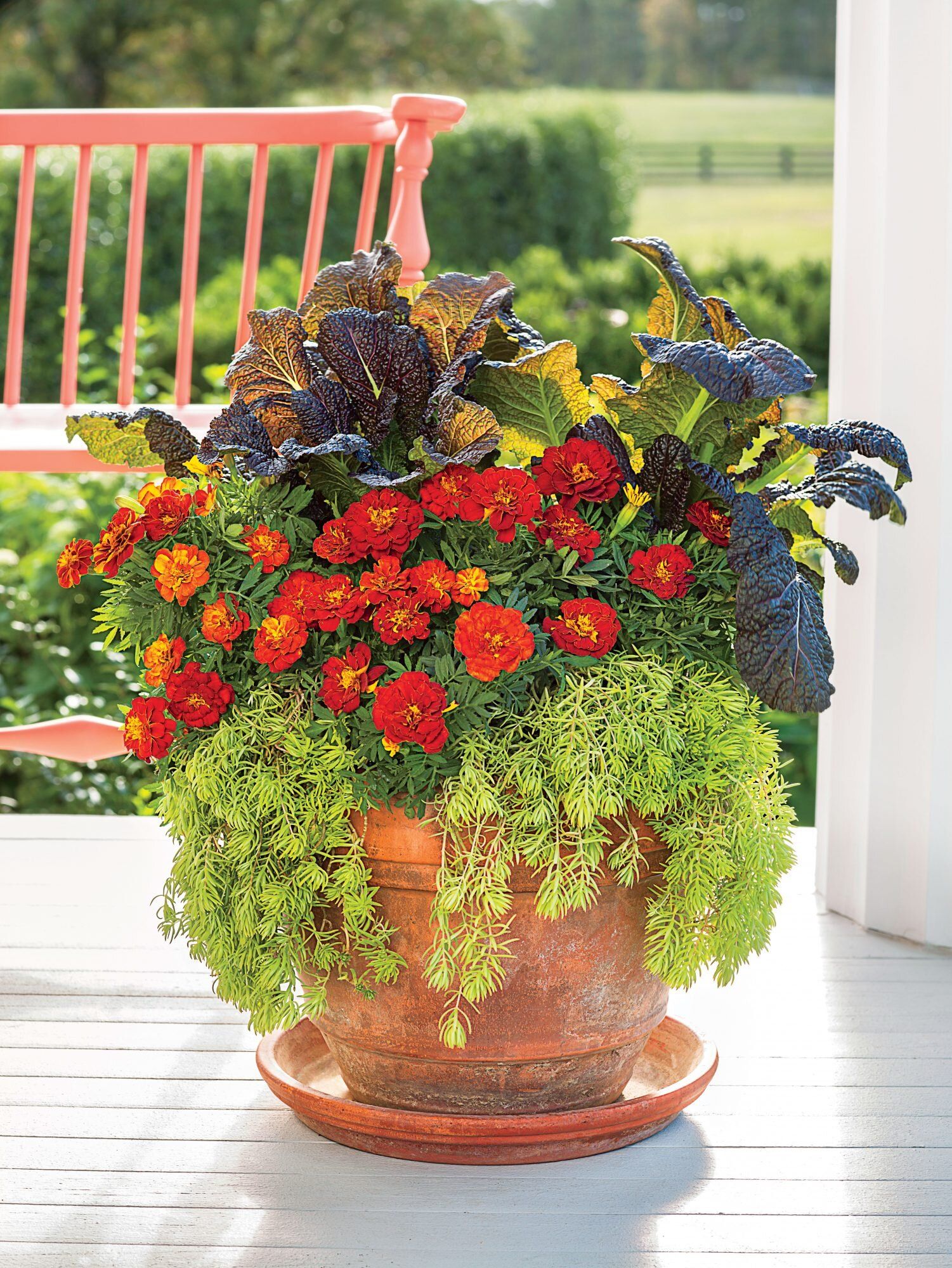 Fall Flowers for a Gorgeous Autumn Garden