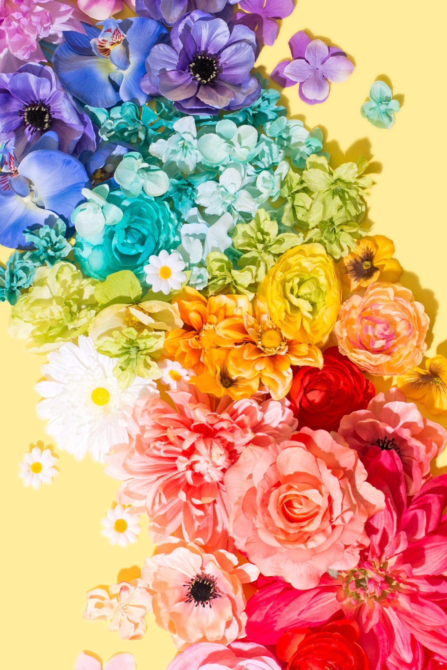 Here Comes Spring / Violet Tinder Studios. Rainbow wallpaper, Flower wallpaper, Rainbow flowers