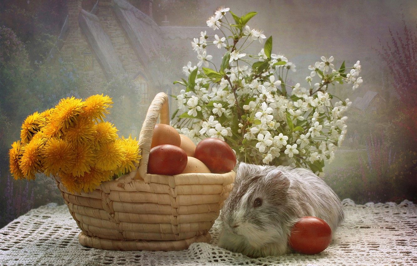 Wallpaper animals, flowers, eggs, spring, Easter, composition