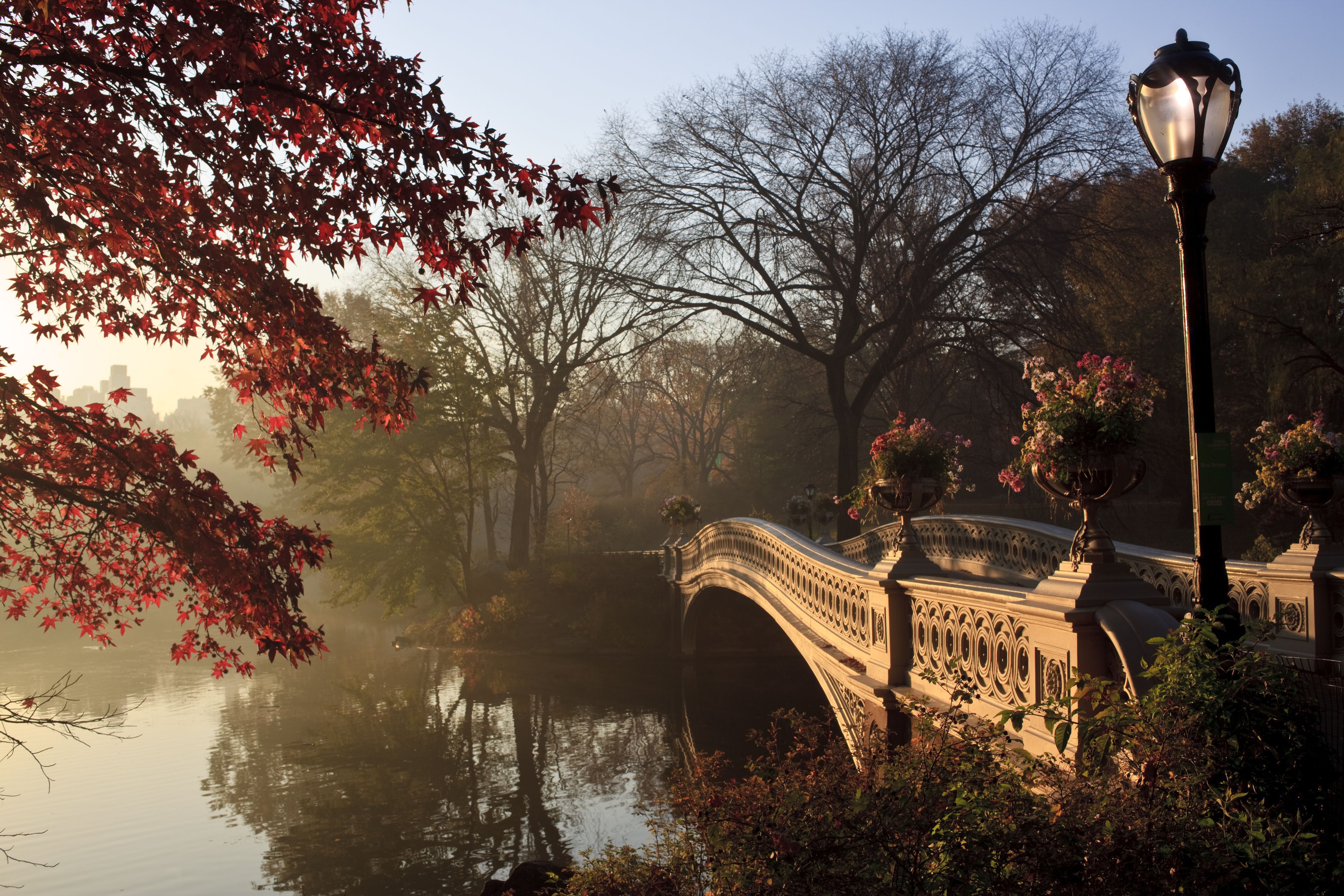 Autumn in Central Park in New York 4k Ultra HD Wallpaper