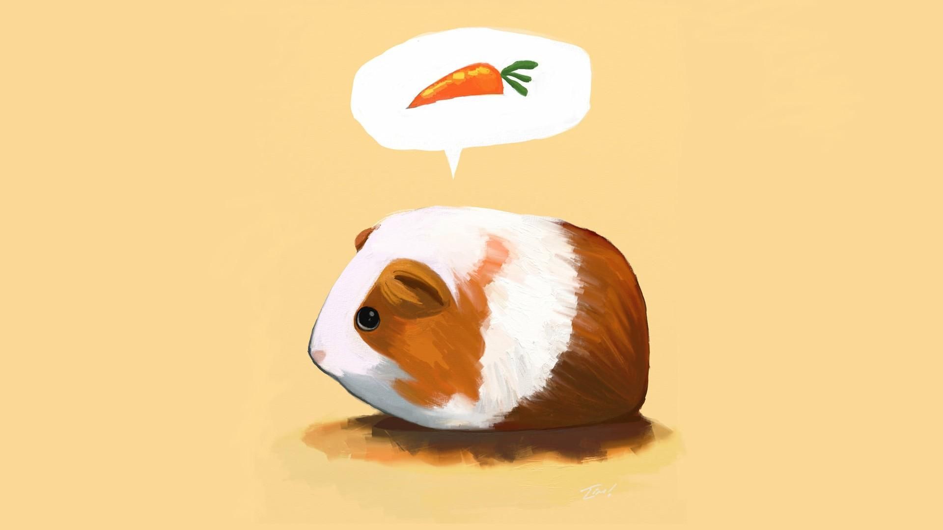 Cartoon Guinea Pig Wallpaper