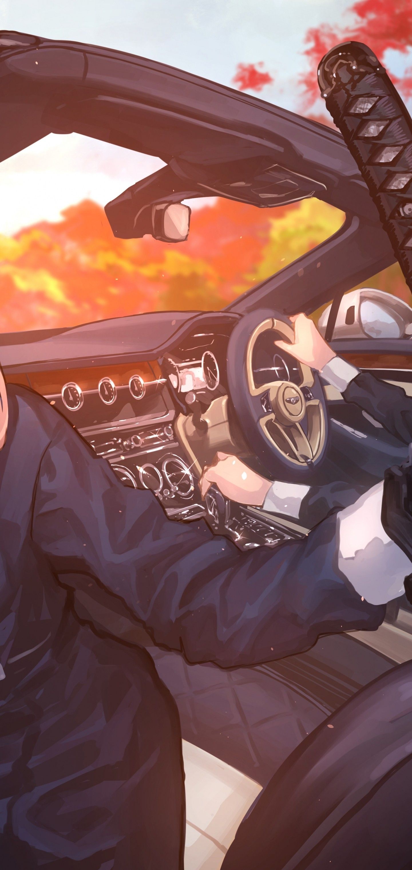 Download 1440x3040 Anime Rich Girls, Katana, Sport Car, Gloves