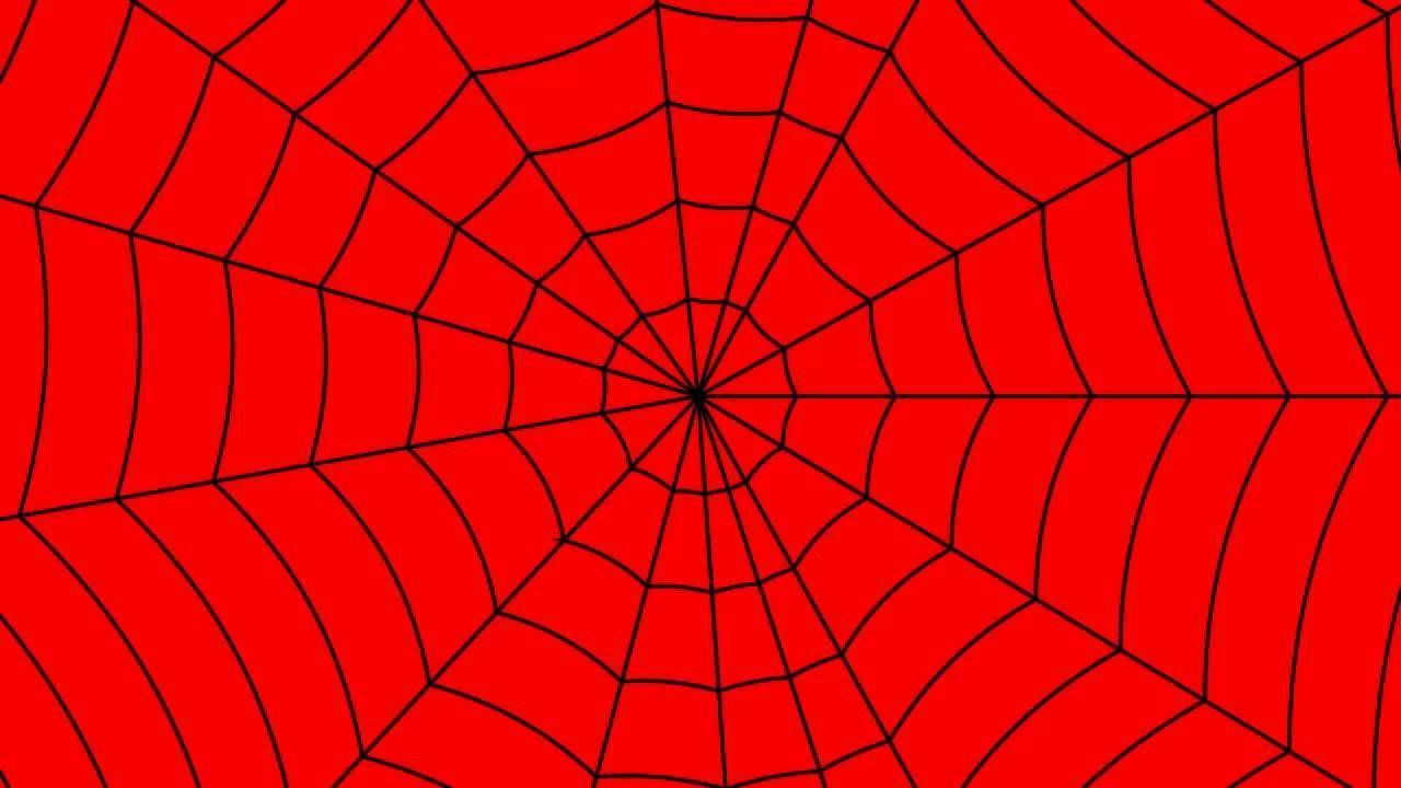 Spiderman Web Wallpaper 4K HD Desktop Wallpaper