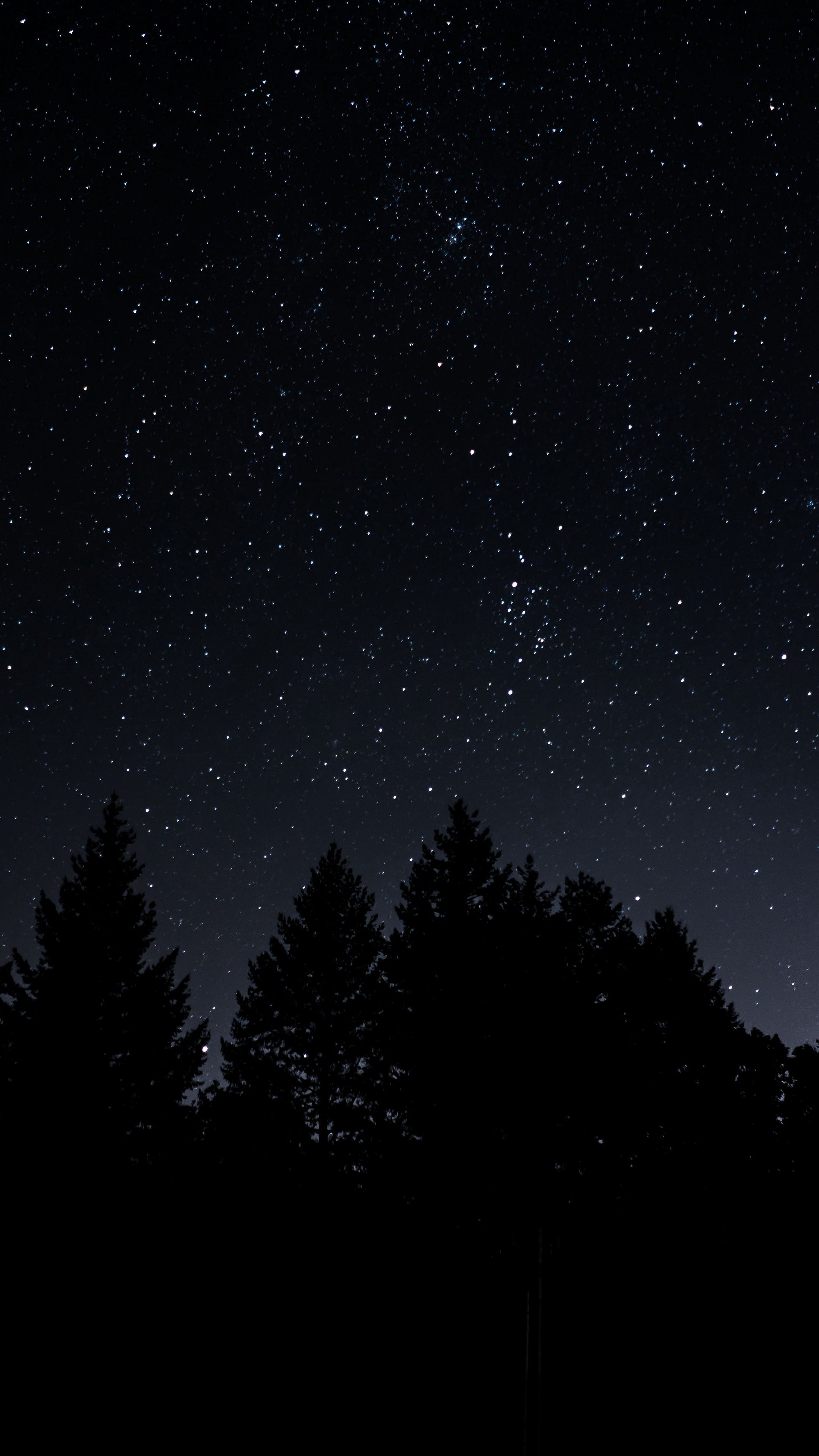 Sky #starrysky #trees #night #wallpaper HD 4k background