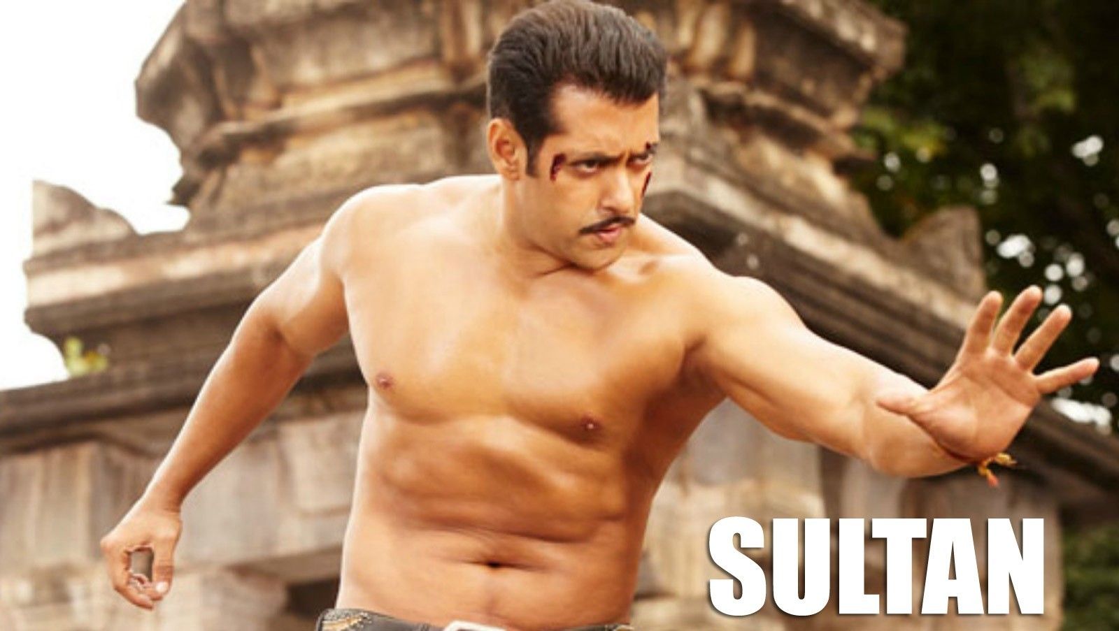 Sultan, Movie, Salman, Khan, Shirtless, HD, Wallpaper, HD