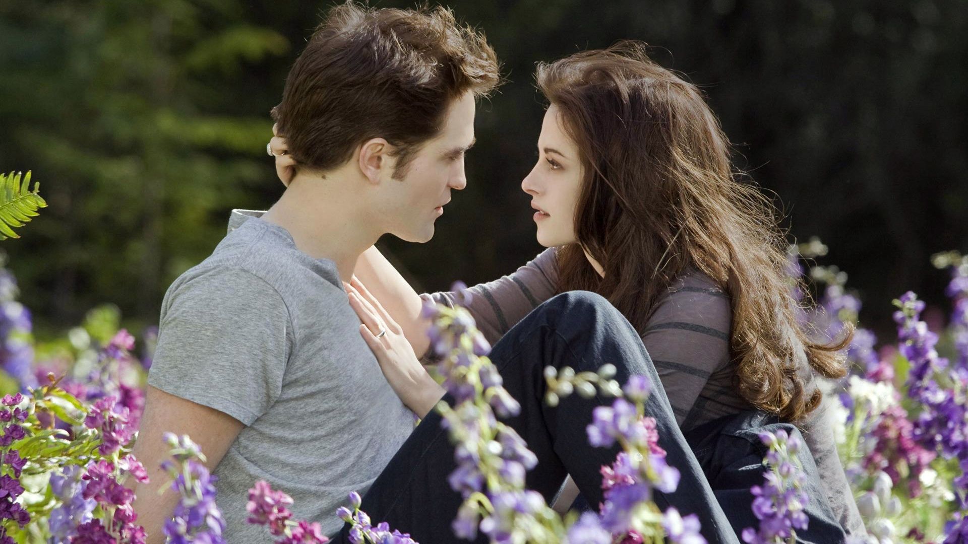 Download 1920x1080 HD Wallpapers twilight couple close