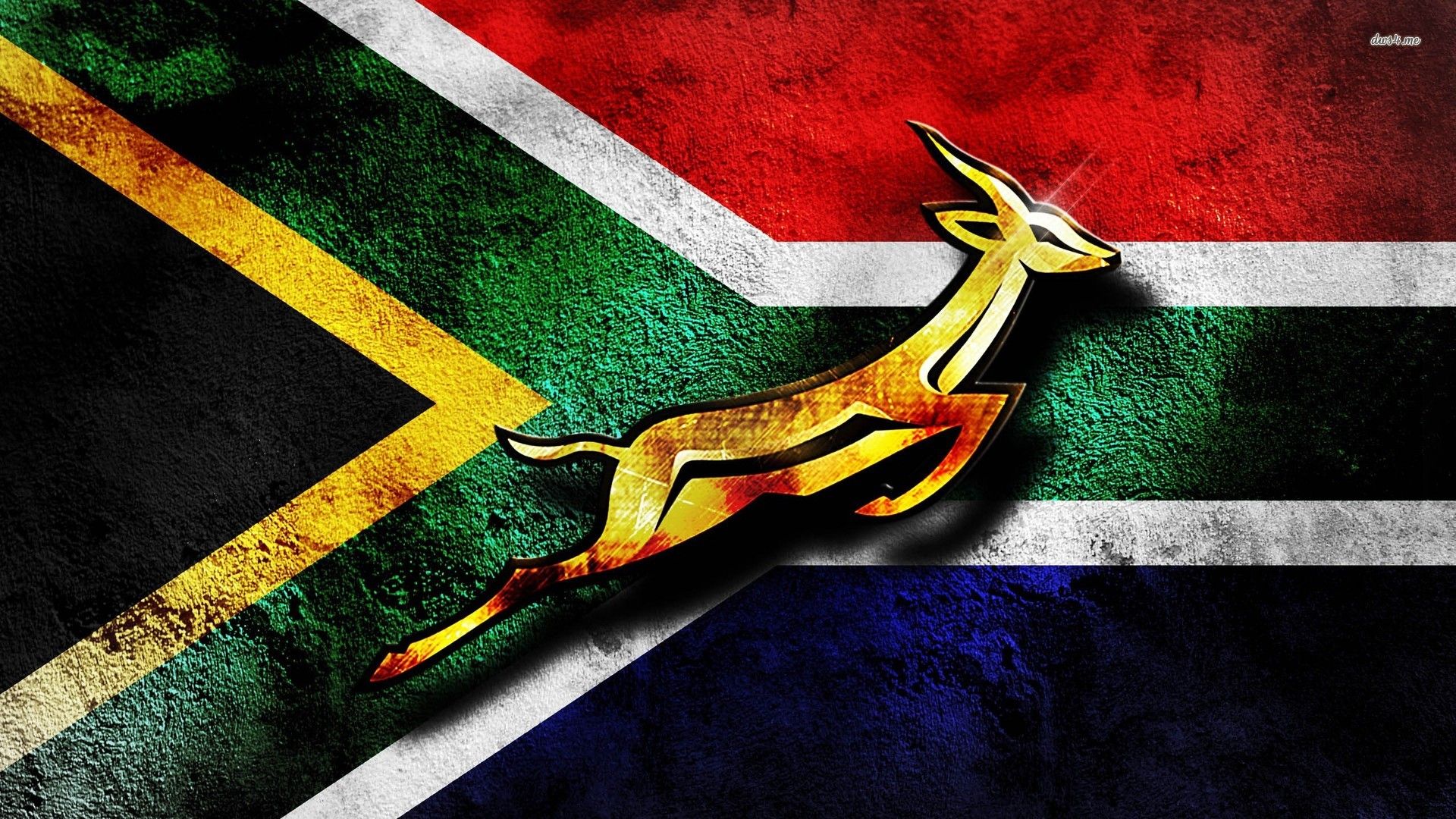 South Africa national rugby union team wallpaper
