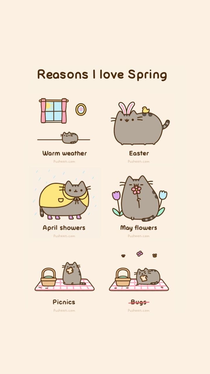 image about Pusheen Cat. See more about