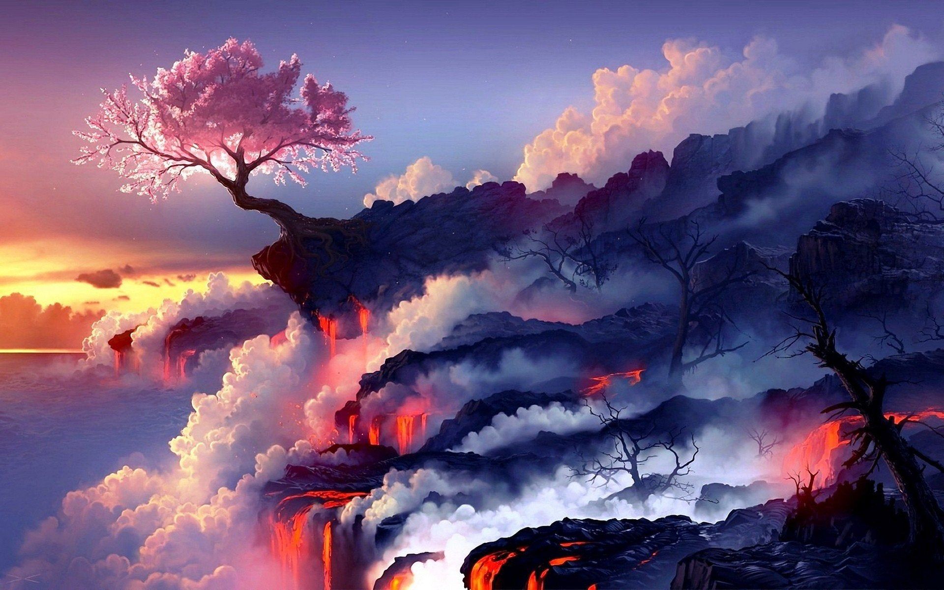 Cherry blossoms and lava