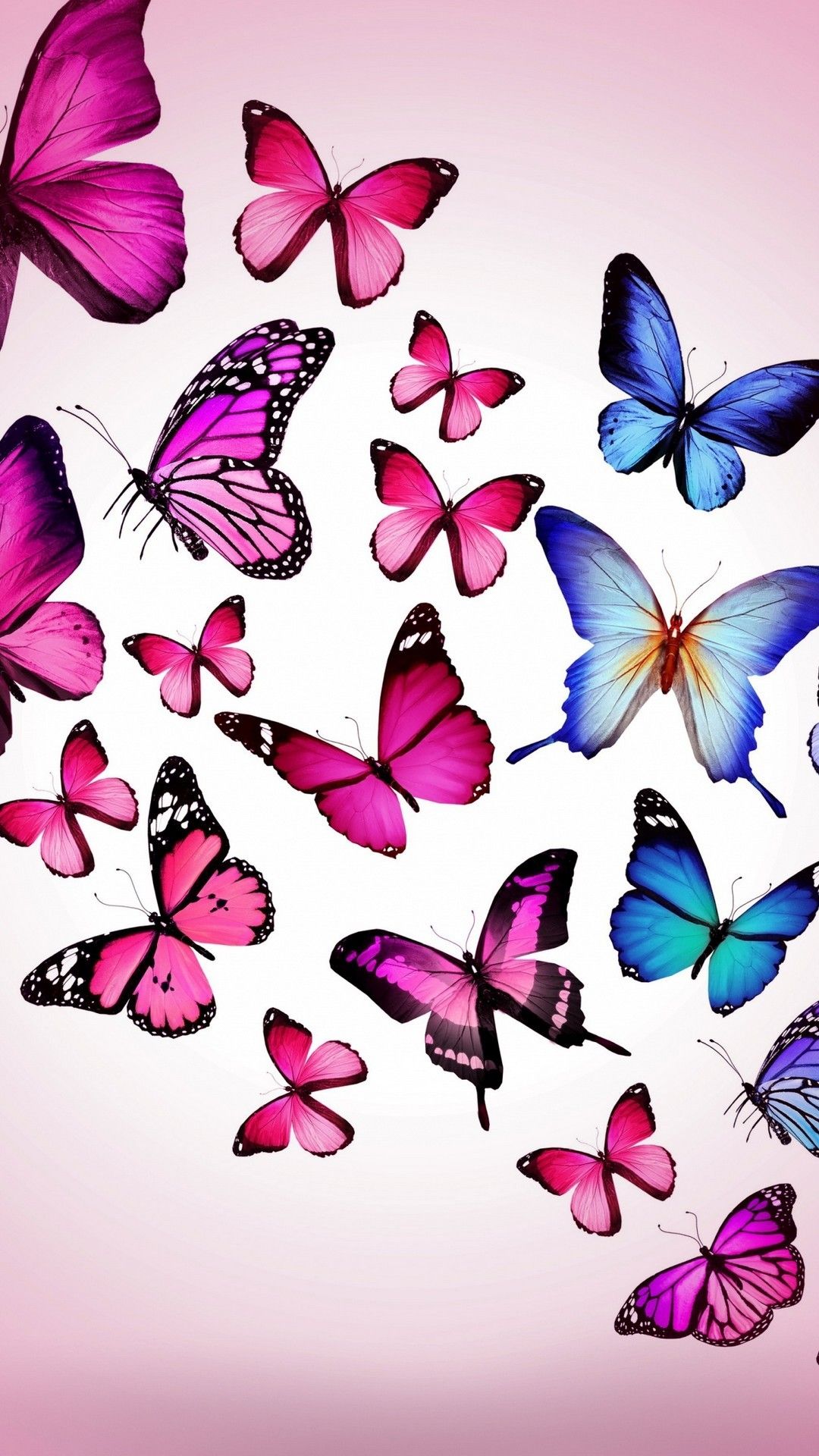 iPhone 7 Wallpaper Pink Butterfly 3D iPhone Wallpaper