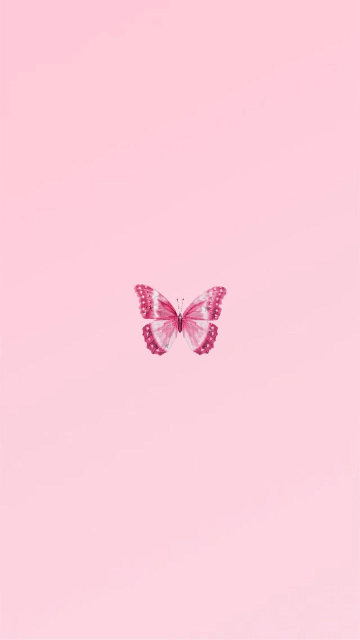 Pink Butterfly iPhone Wallpapers - Wallpaper Cave