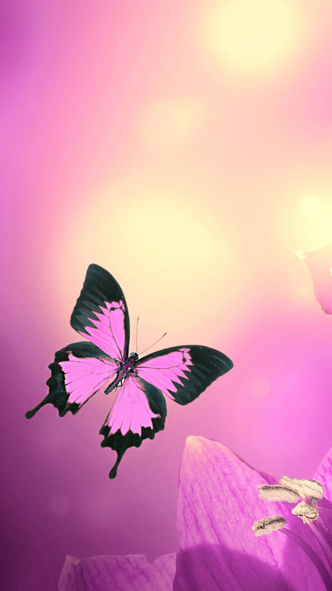 Pink Butterfly iPhone Wallpaper HD