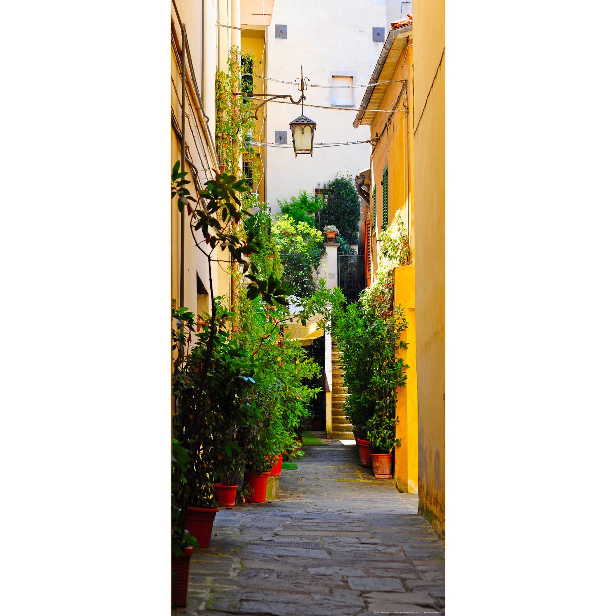 Narrow Alley Lane with Old Houses in Arezzo Italy Wall Mural Non