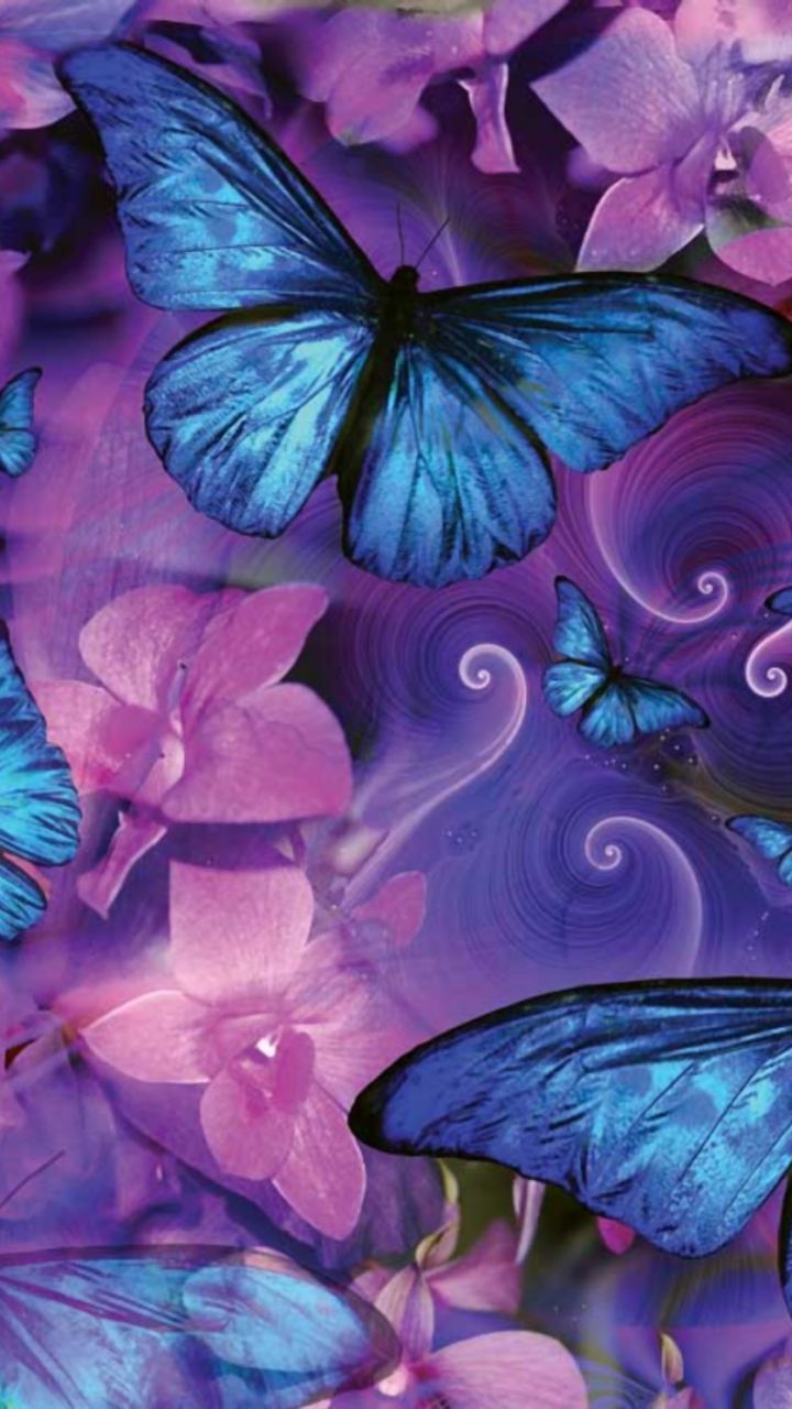 Artistic Butterfly (720x1280) Wallpaper