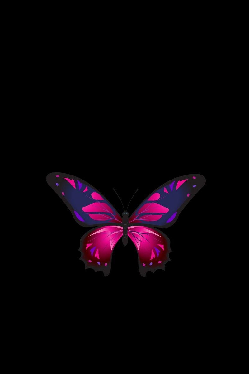 Download wallpaper 800x1200 butterfly, patterns, wings, dark