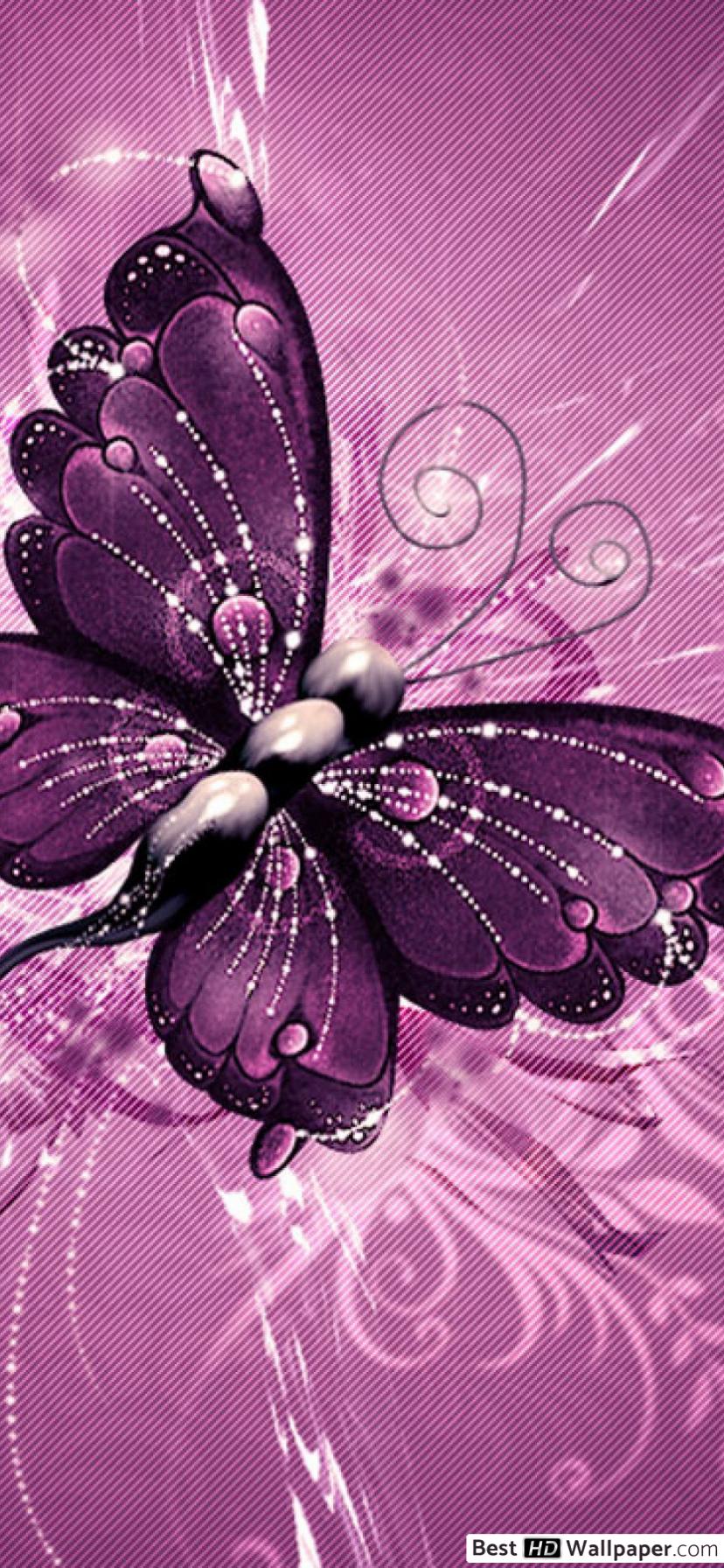 Artistic pink butterfly HD wallpaper download