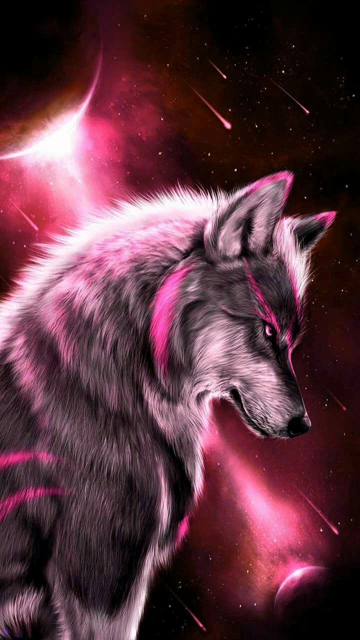 Beautiful Wolves Wallpapers Wallpaper Cave