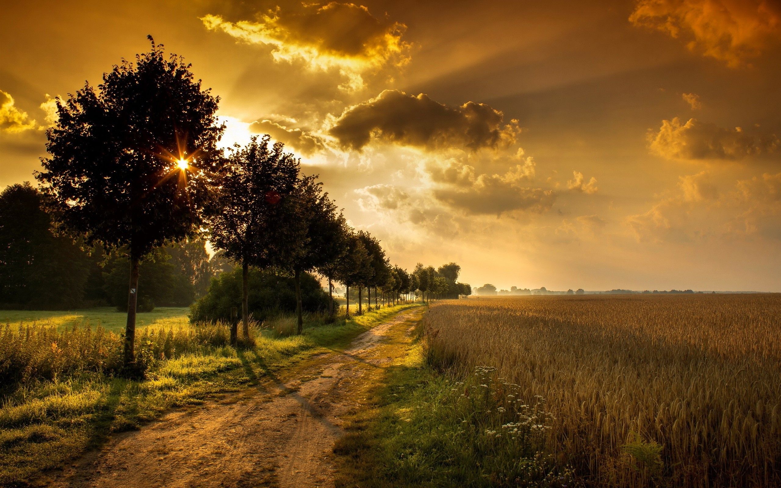 #shadow, #sunset, #path, #clouds, #landscape, #dirt road