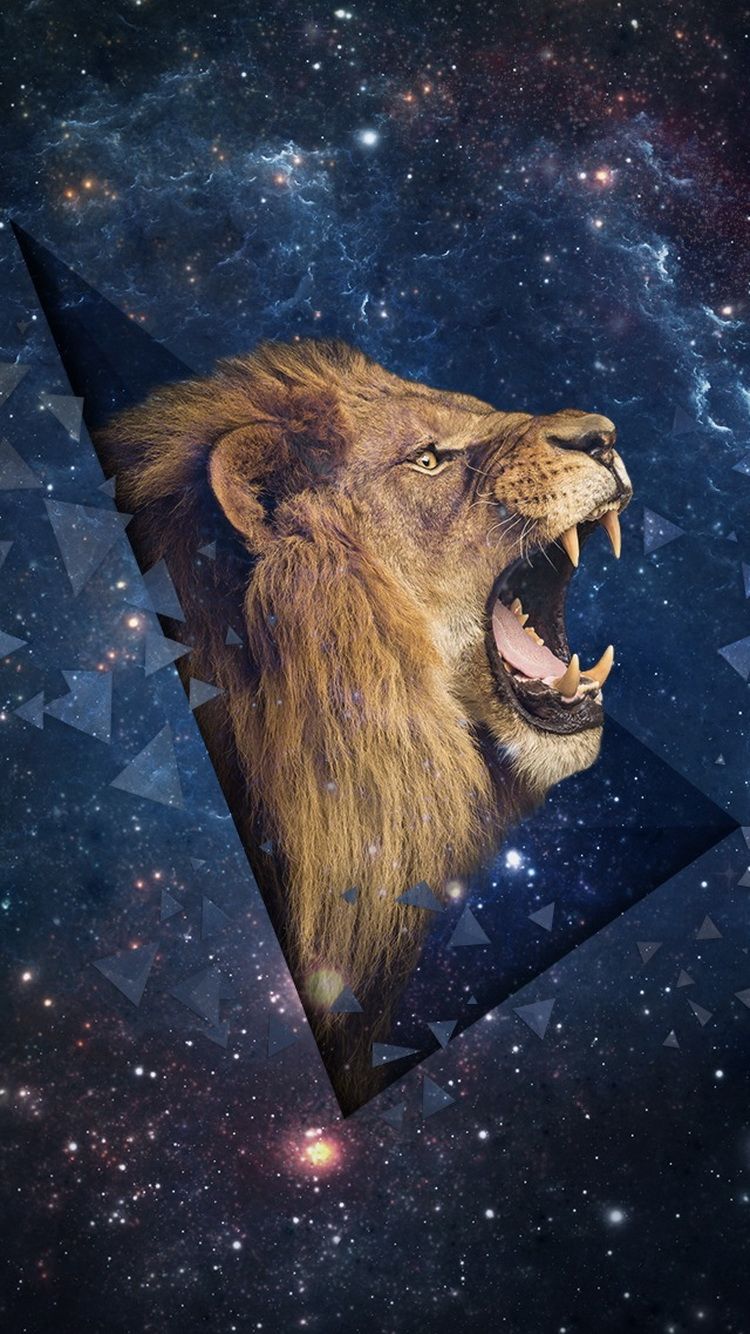 Lion iPhone 6 Wallpaper, Download Wallpaper