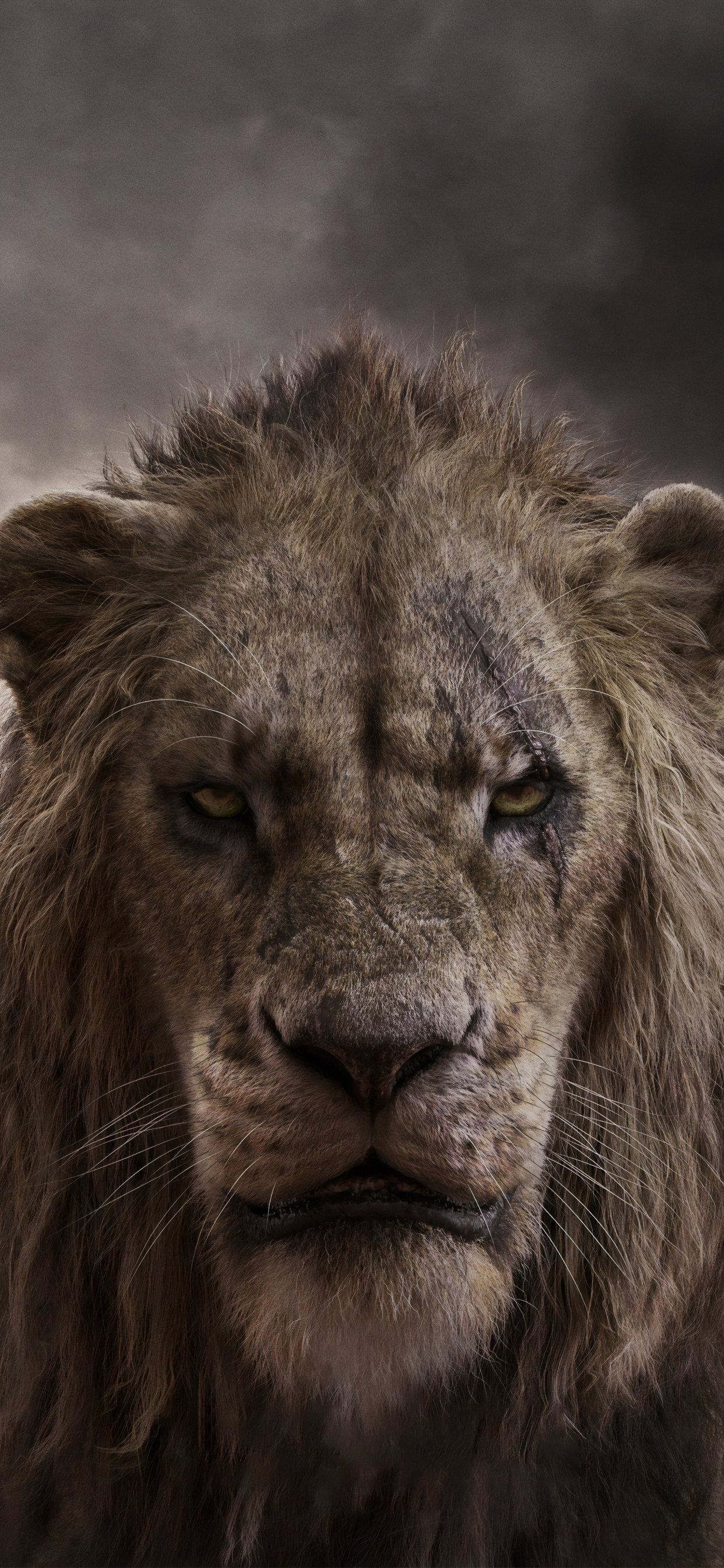 chiwetel ejiofor as scar in the lion king 2019 4k iPhone