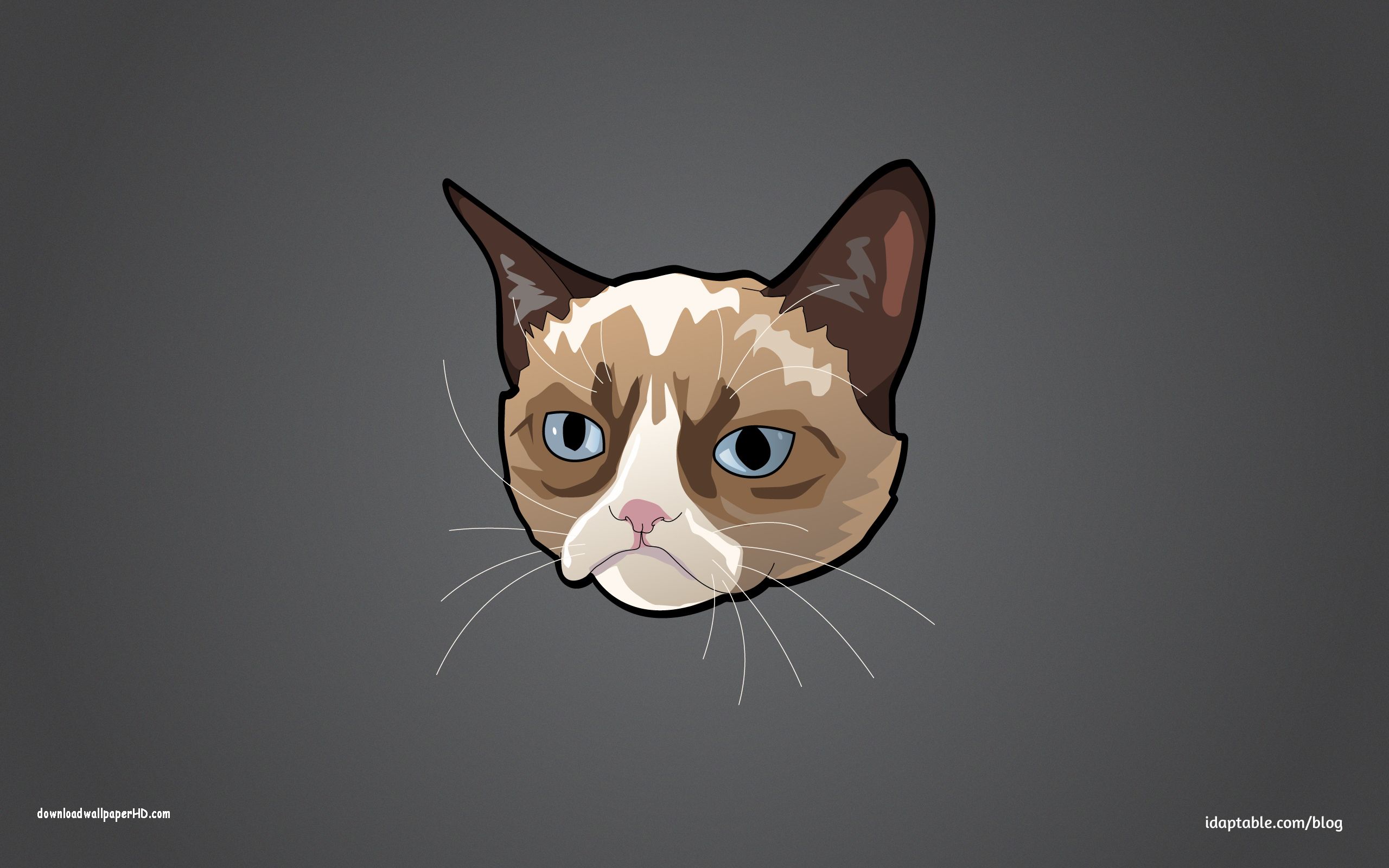 Animated Cat Wallpaper for Desktop