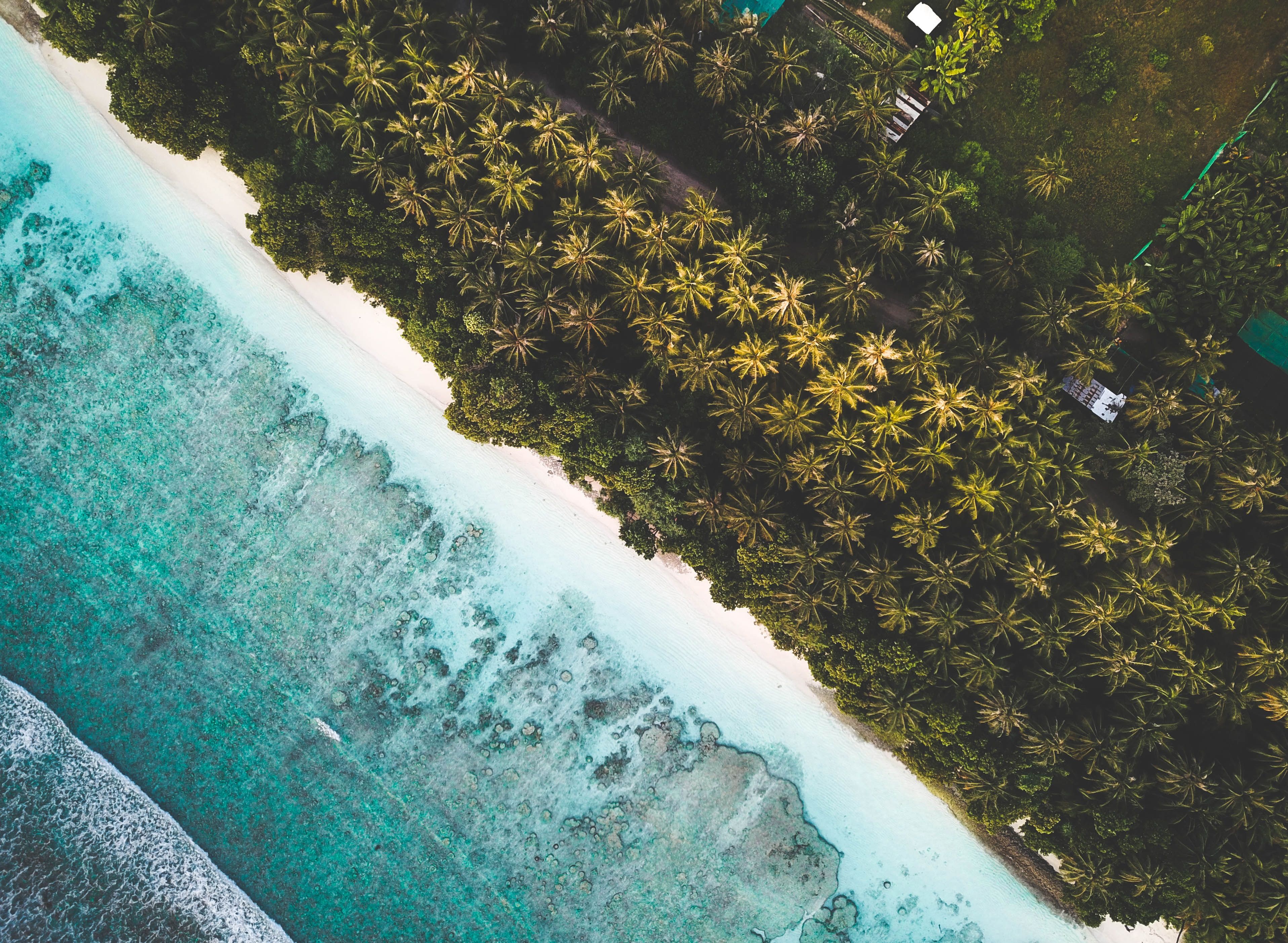 3832x2807 #maldives, #shoreline, #island, #tumblr
