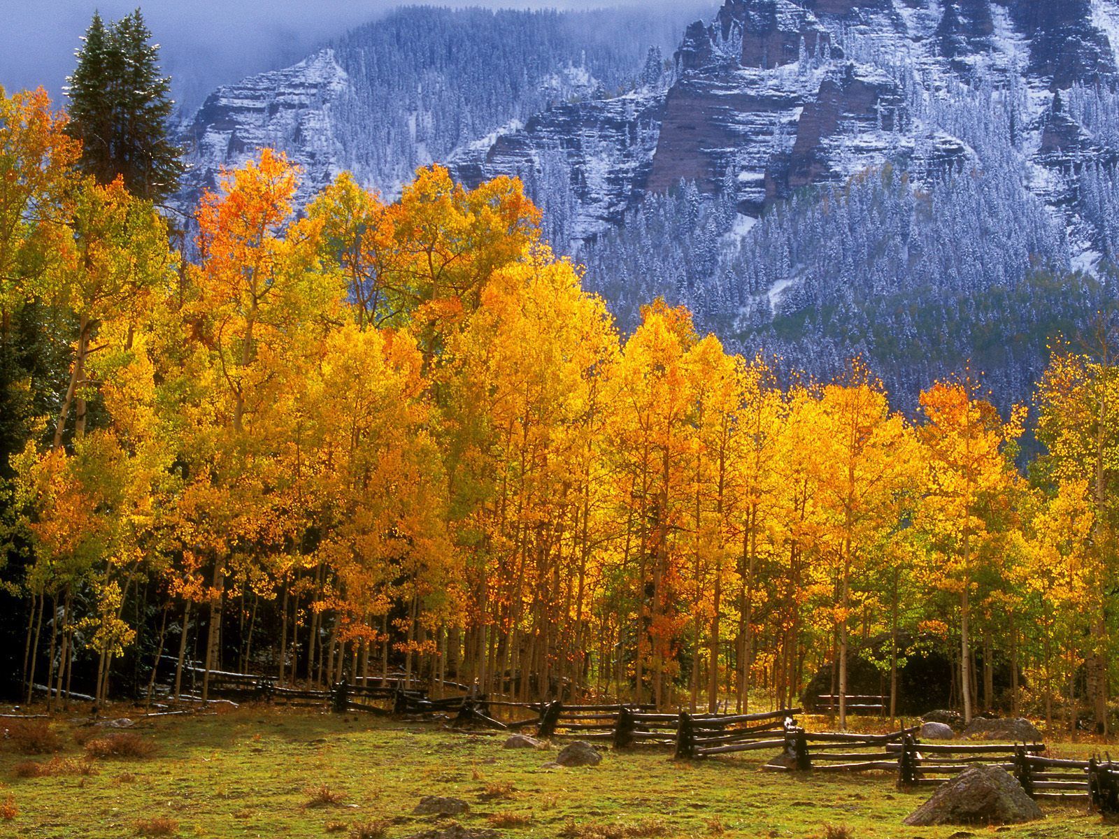 Fall Colors near Silver Jack Reservoir, Colorado. Aspen