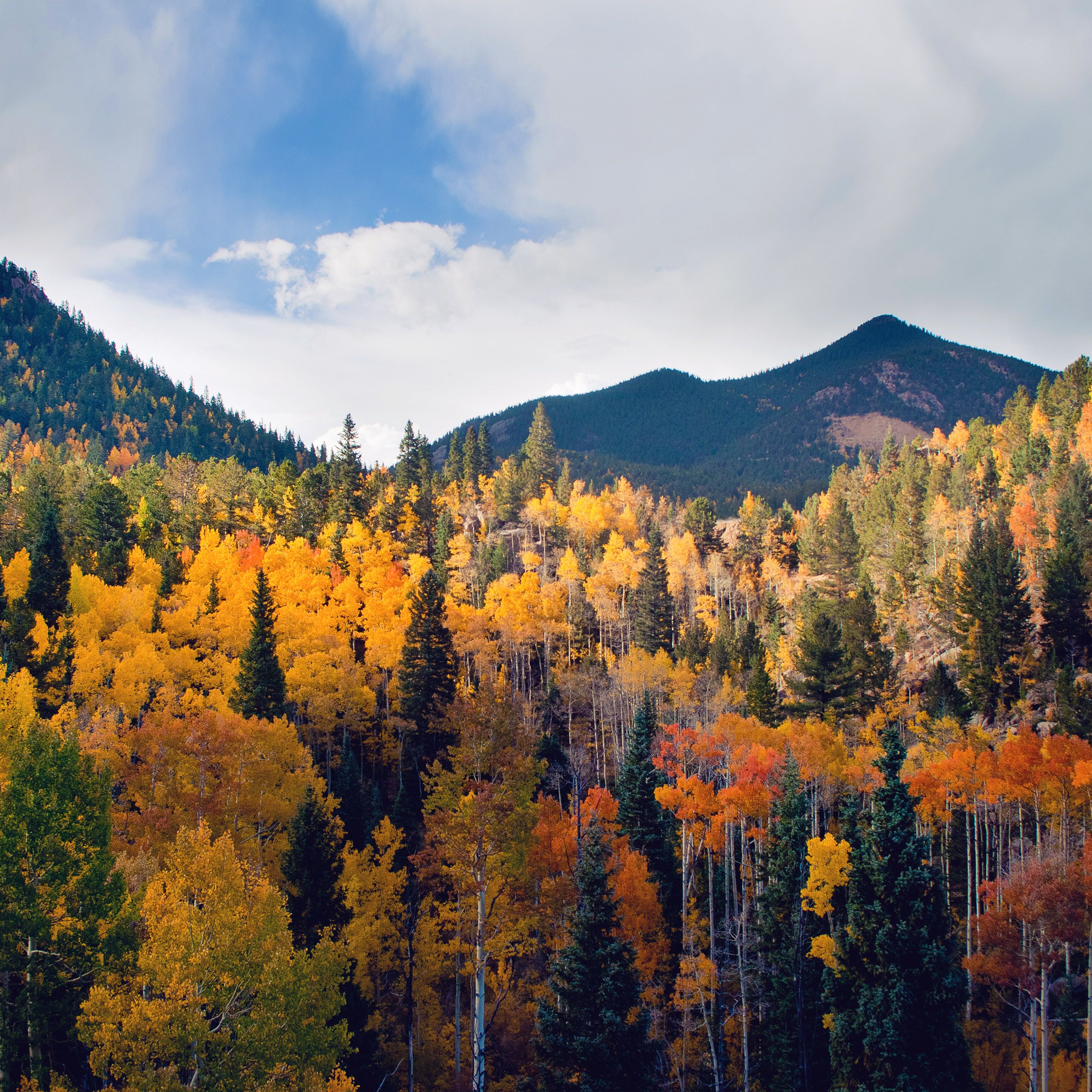 All 105+ Images colorado in the fall pictures Full HD, 2k, 4k