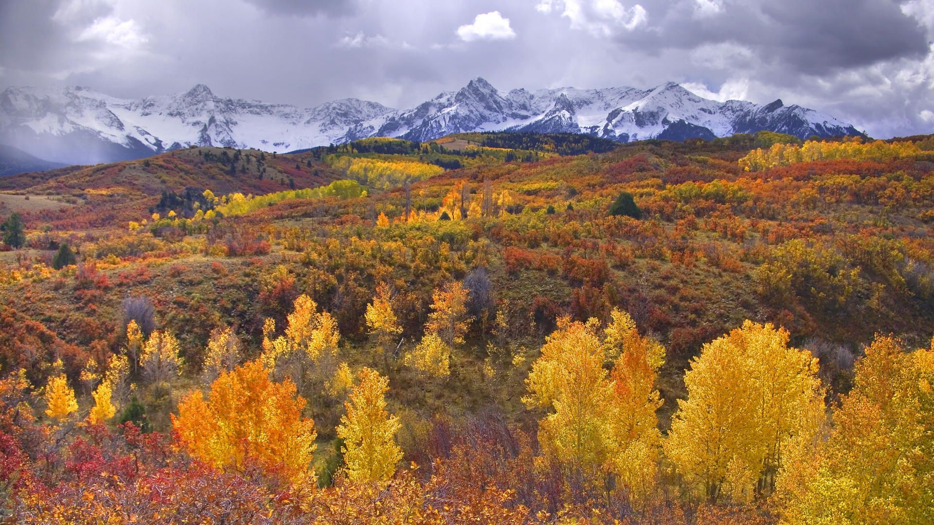fall, forest, mountain. Nature Desktop Background. Telluride