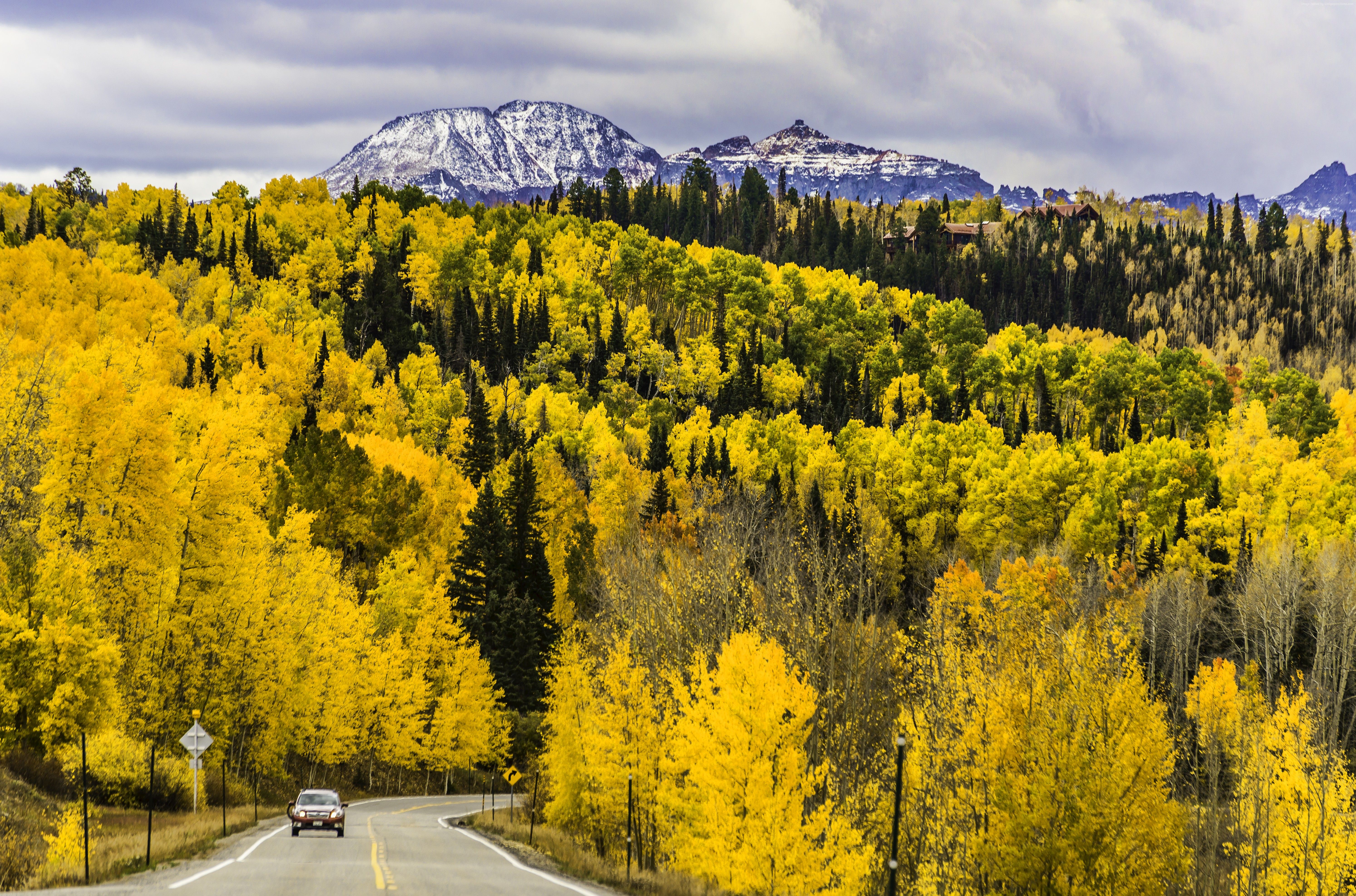 #autumn, #Colorado, #trees, #forest, K, #USA, #mountains
