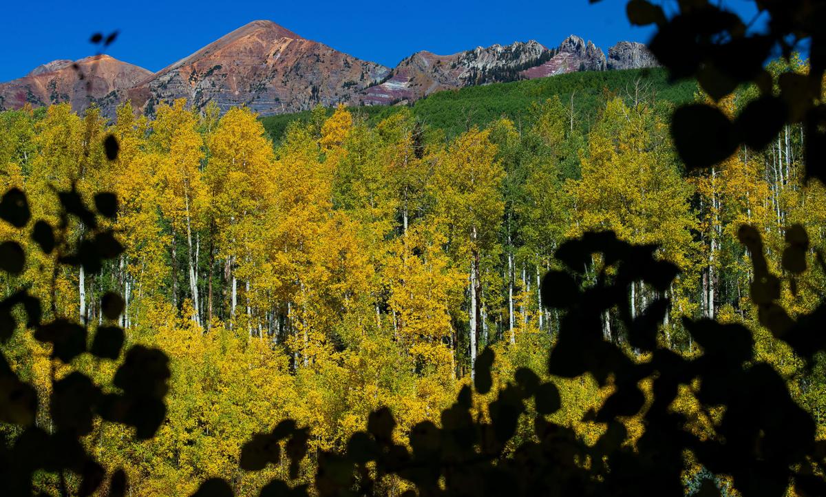 Prime fall colors expected in Colorado mountains this weekend