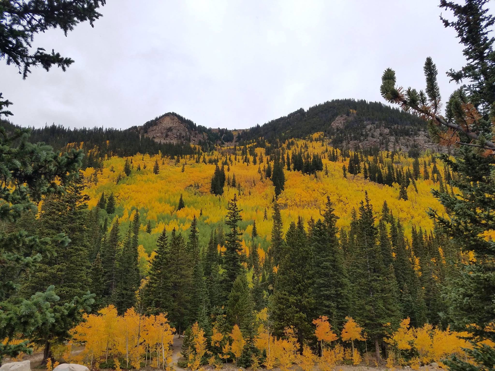 GREAT places to see the fall colors in Colorado right now