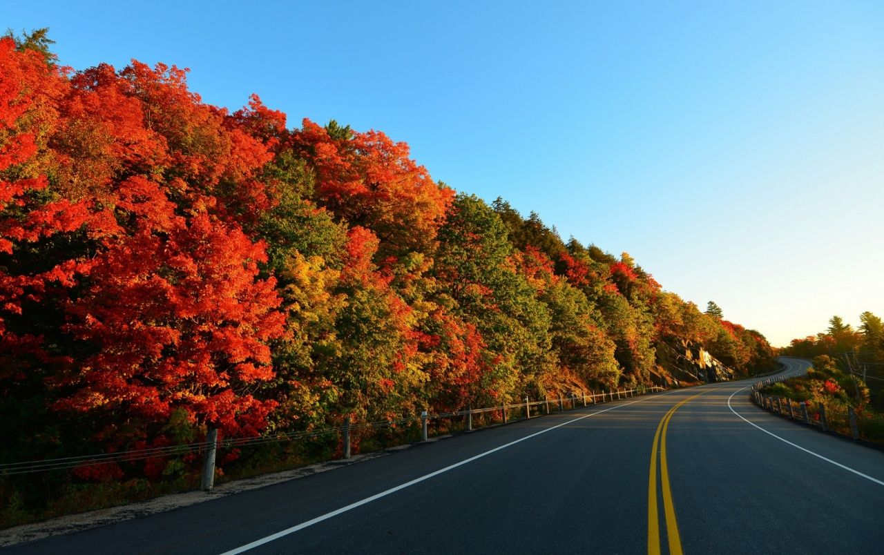 Autumn Trees & Curvy Road wallpaper. Autumn Trees & Curvy Road
