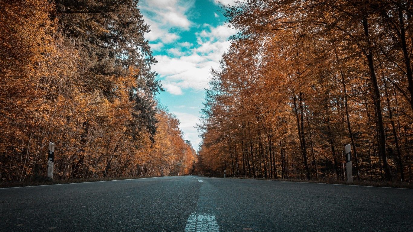 Alone Road Forest Autumn Golden Trees Ultra 4k 1366x768