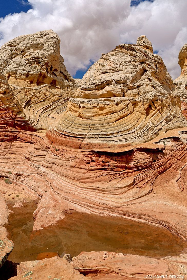 White Pocket Arizona vs the Wave. Which is Better?. Arizona