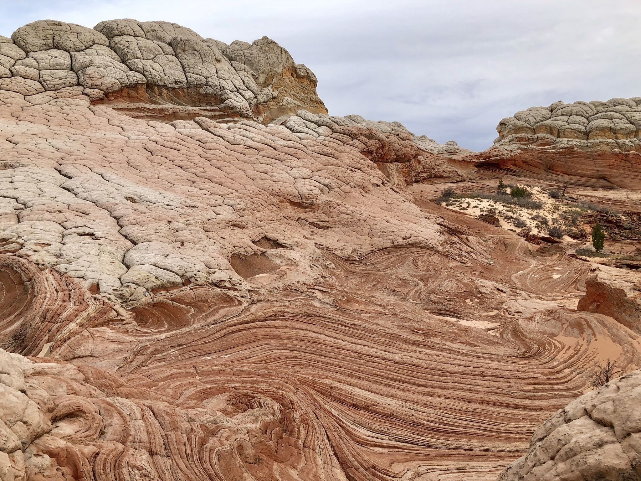 White Pocket Is A Remote Natural Wonder In Arizona