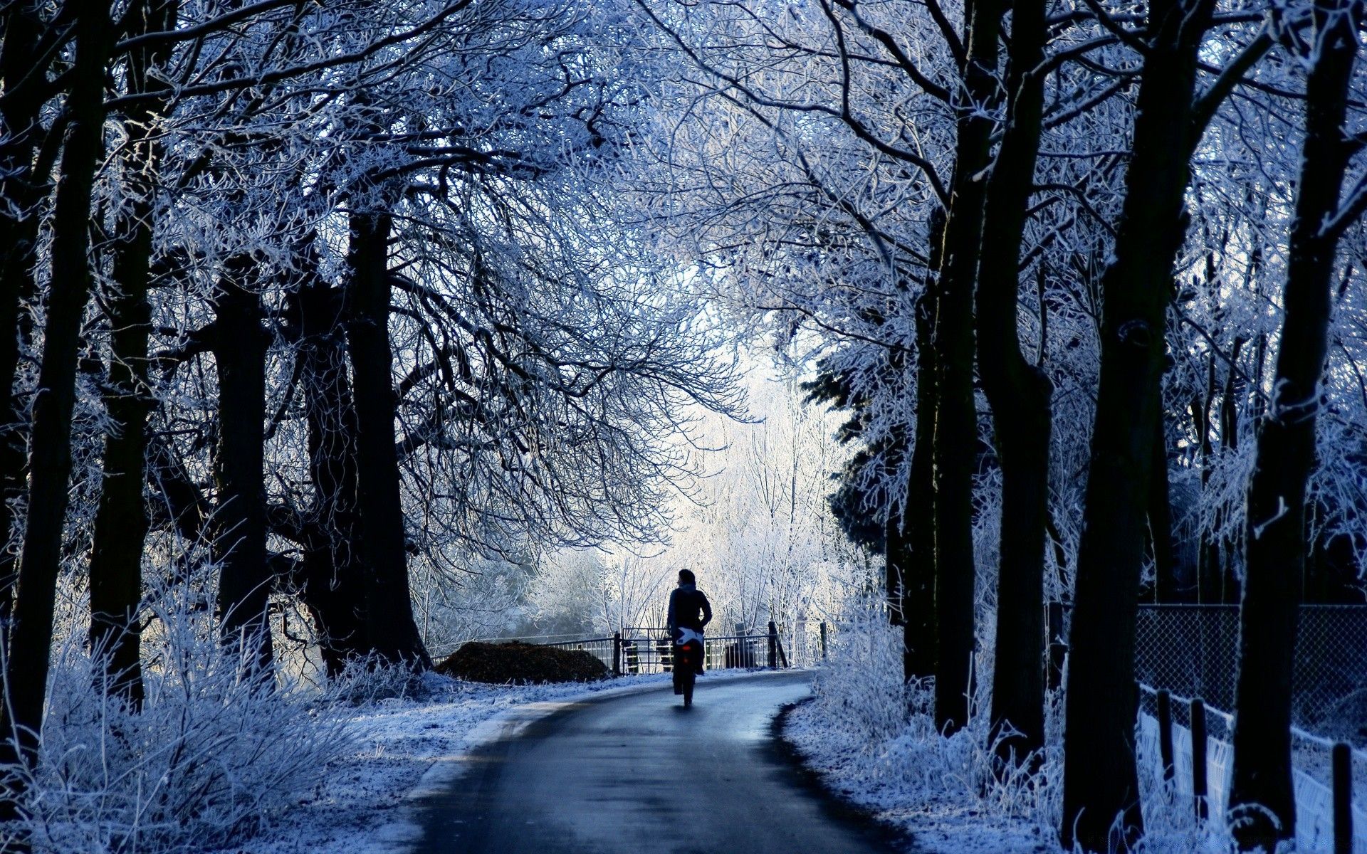 Winter Road Scene