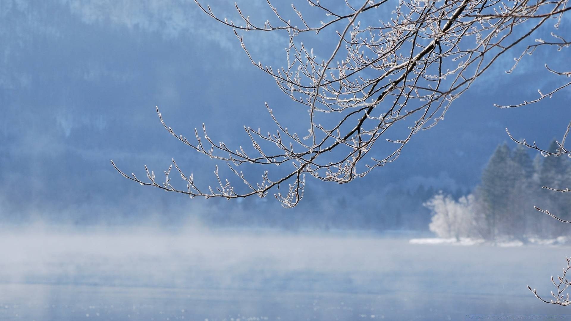 Winter Fog, Lake