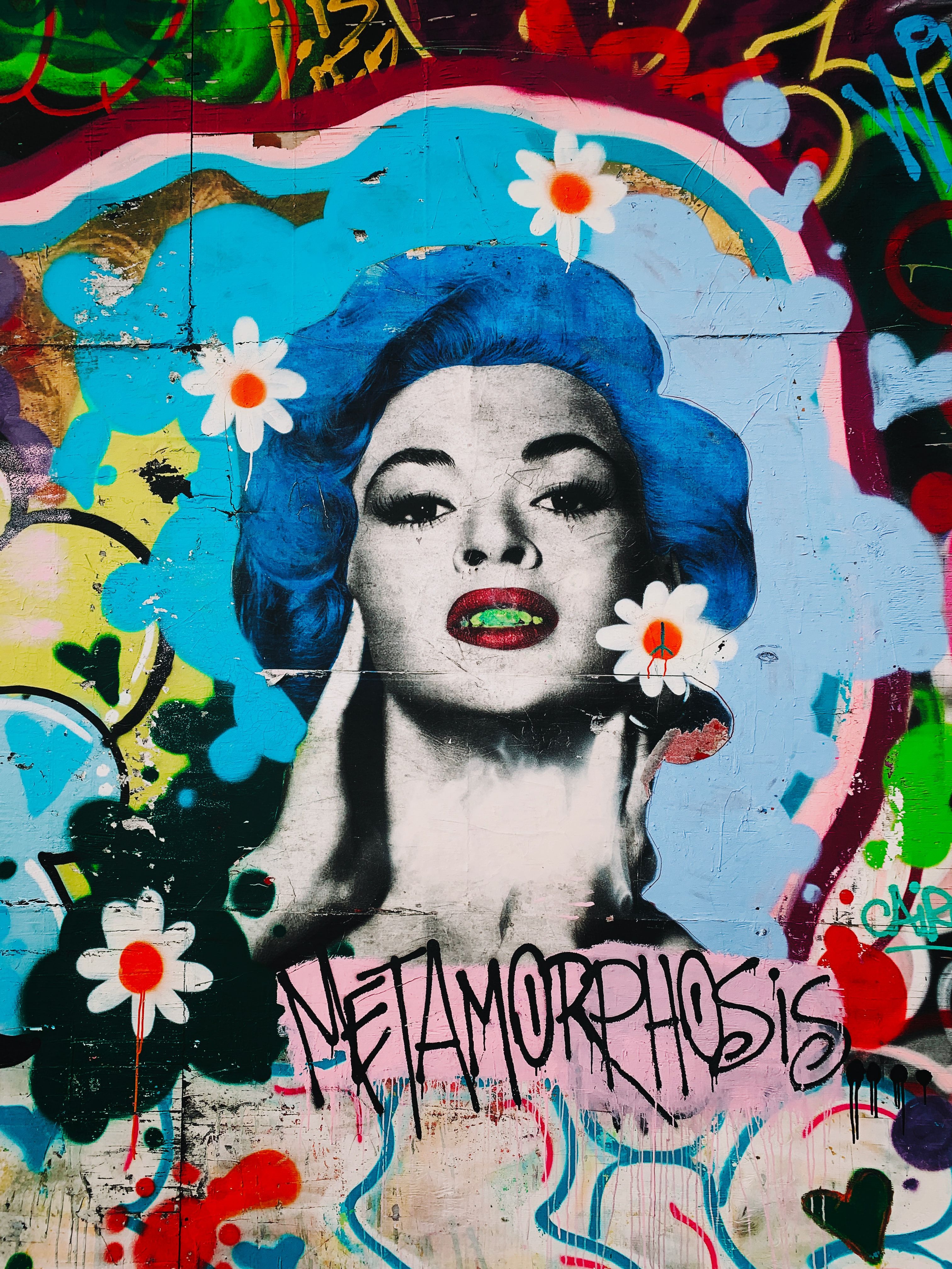Metamorphosis graffiti wallpaper photo