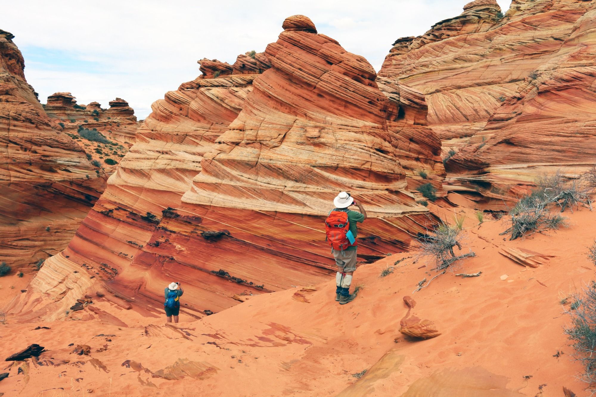 Coyote Buttes South Tour. Coyote Buttes Photography