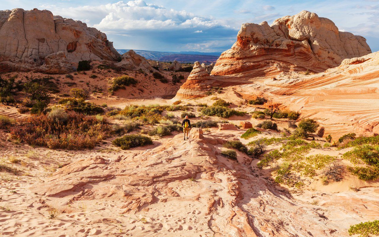 Hike to White Pocket Trailhead