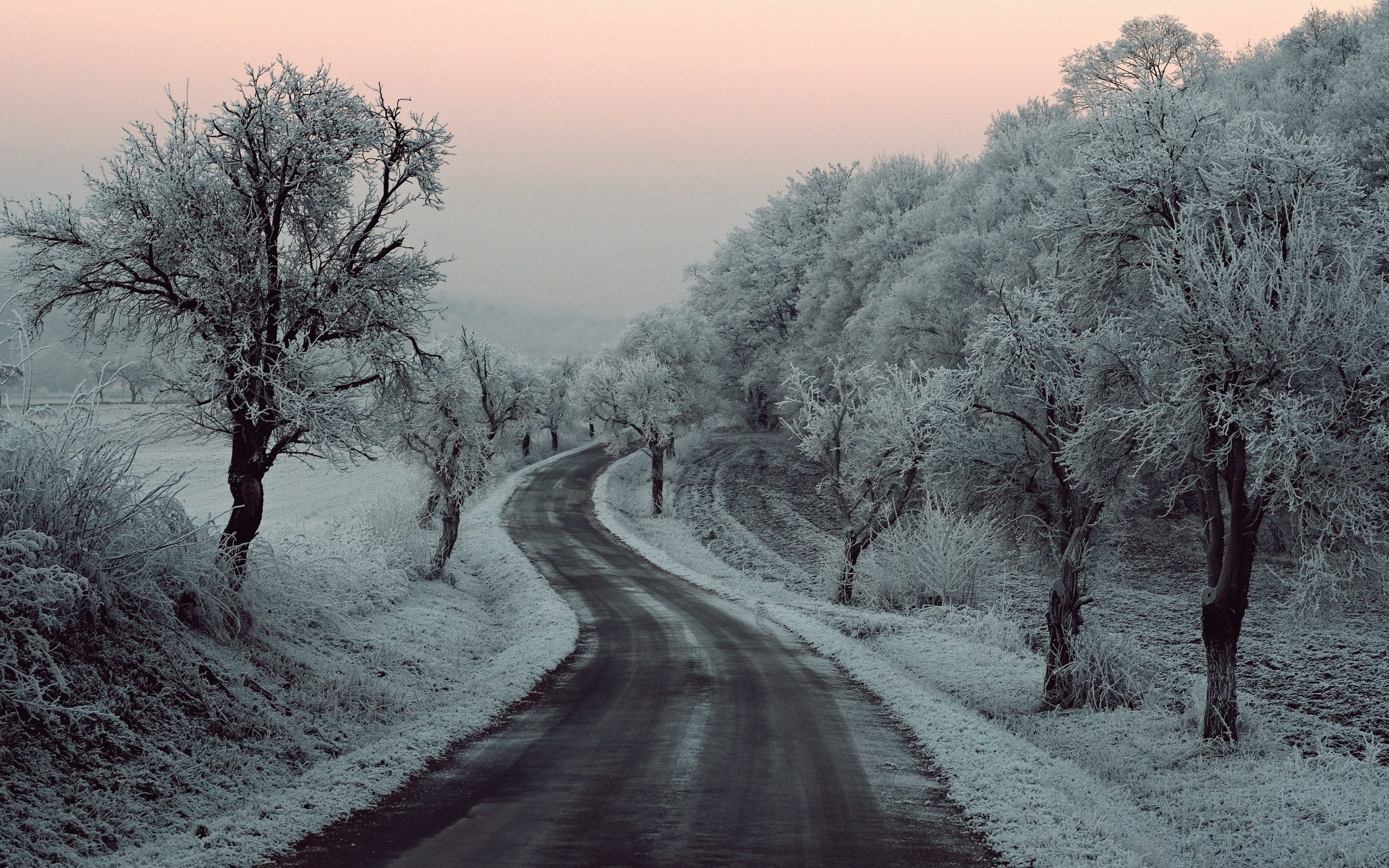 Winter Road Snow Frozen Trees 5K Wallpaper