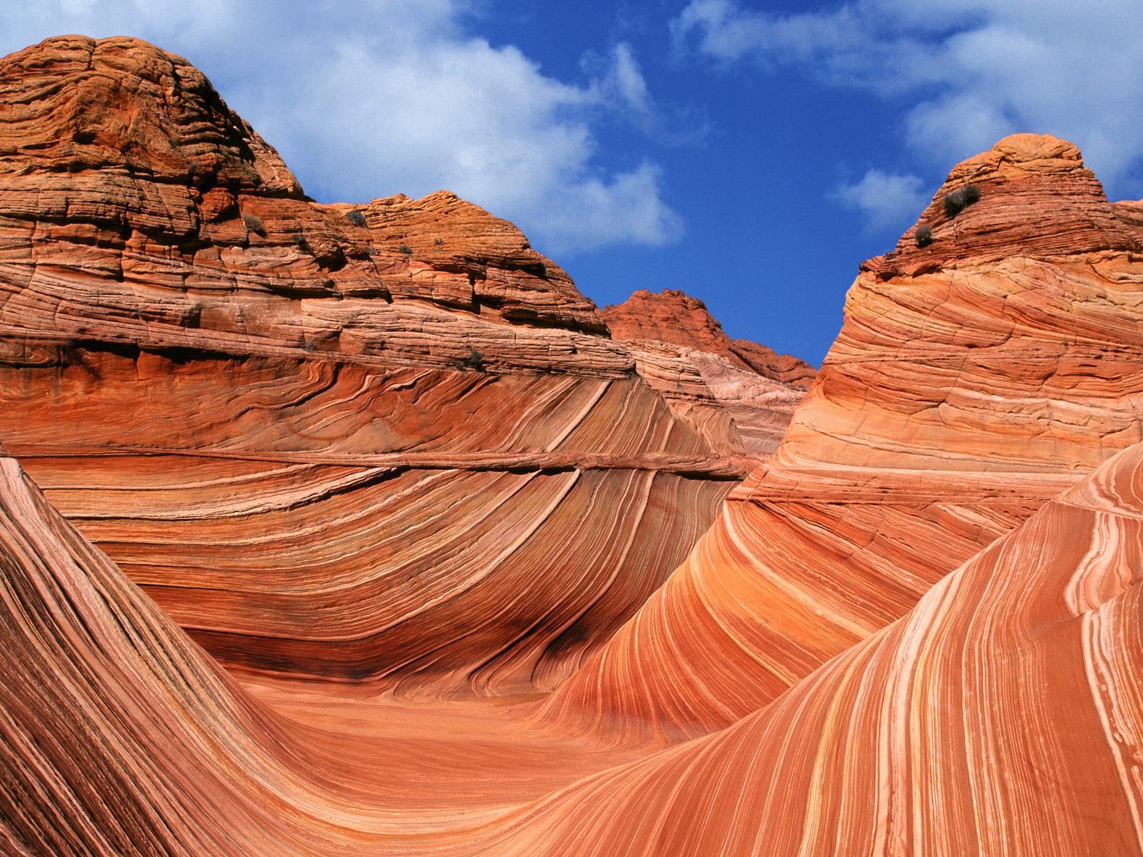 What A Wonderful World: The Wave, Coyote Buttes, Arizona USA