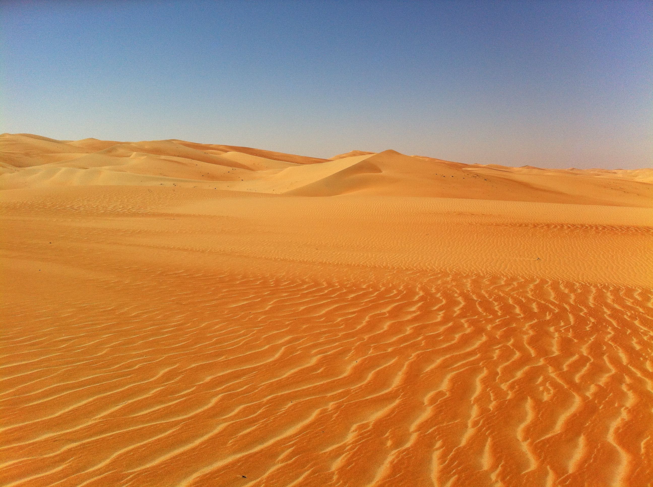 Beautiful ripples in the desert sand. Liwa Desert in Abu Dhabi