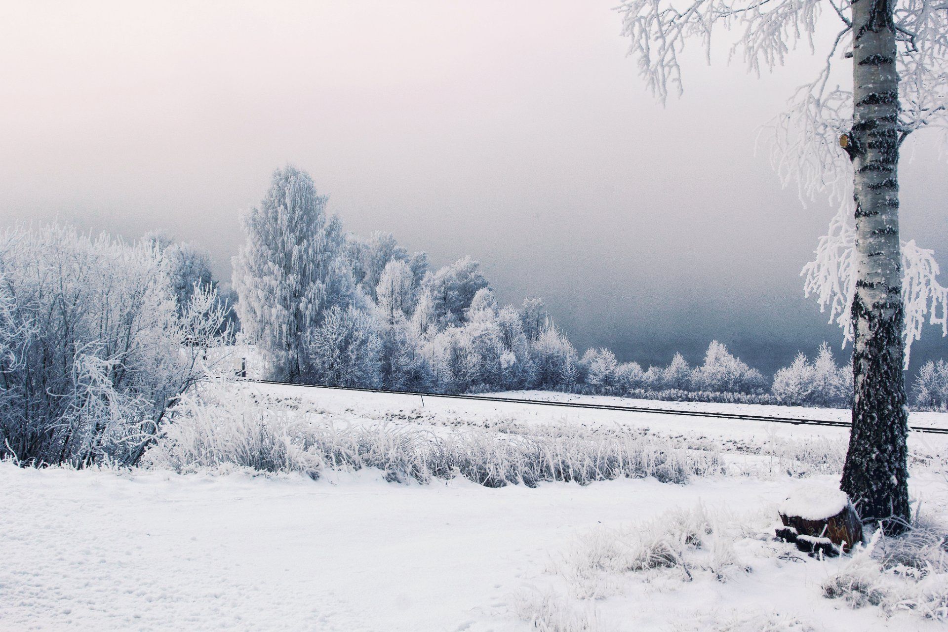 Sweden Snow Wallpaper