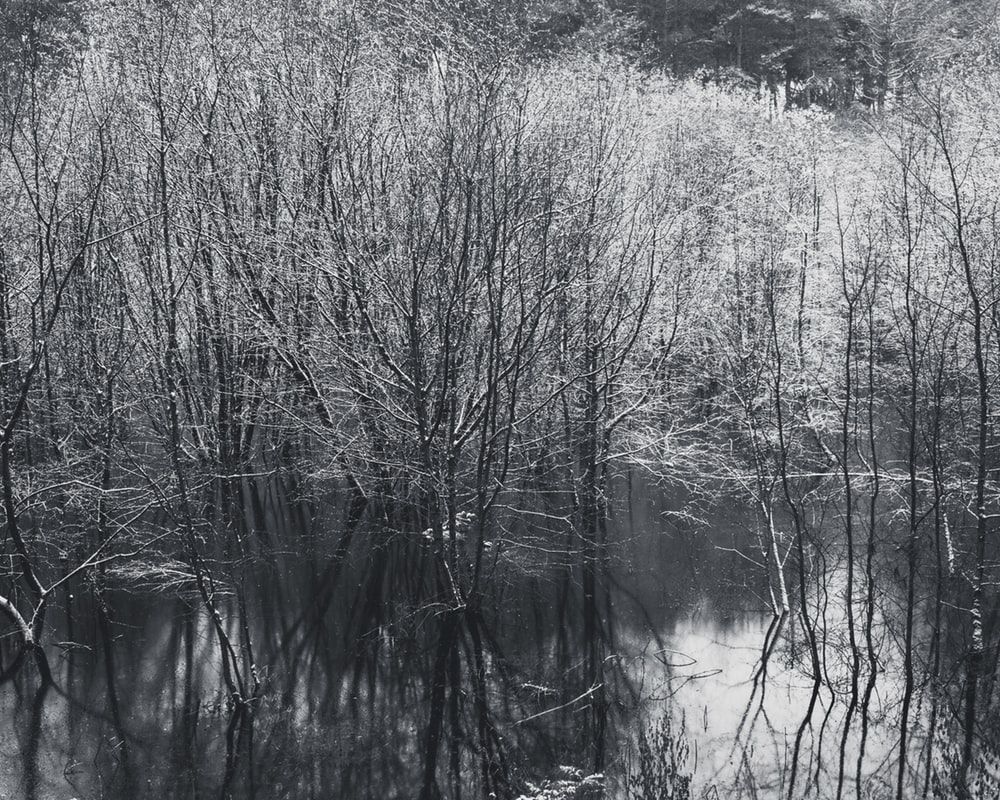 Linmere Lodge Visitor Centre Picture. Download Free Image