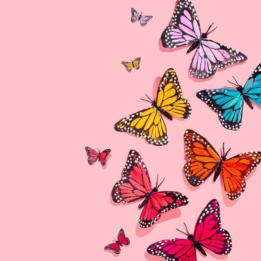 Featured image of post Aesthetic Wallpaper Butterfly Computer / Bring your texts to life with these butterfly stickers.