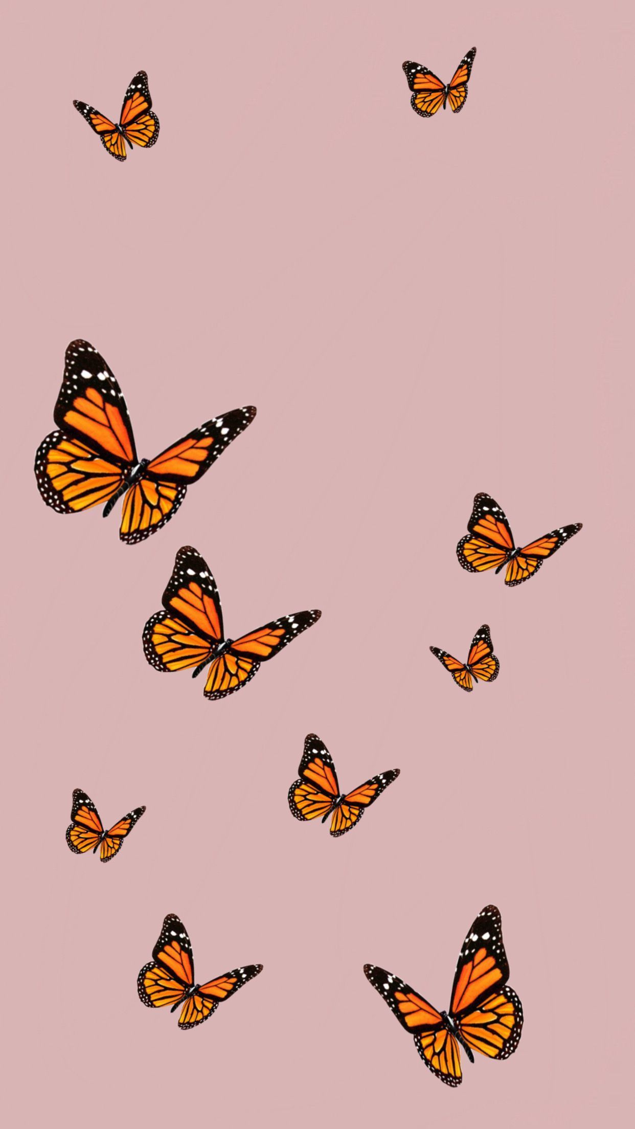 Butterfly Aesthetic Wallpapers - Wallpaper Cave