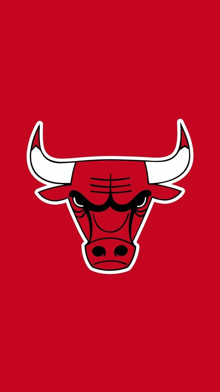 Download Chicago Bulls logo Wallpaper
