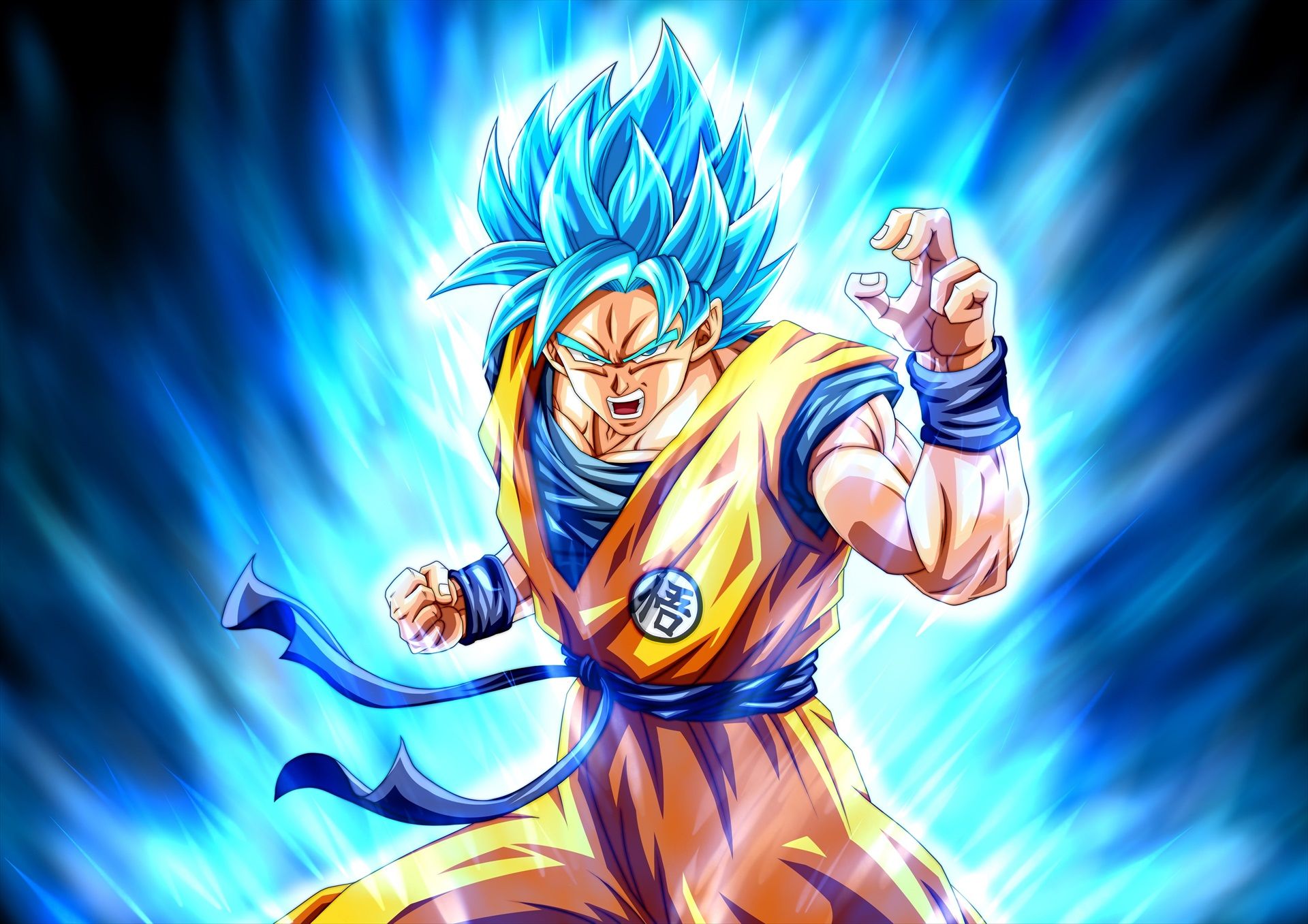 Goku SSJ Blue HD Wallpaper